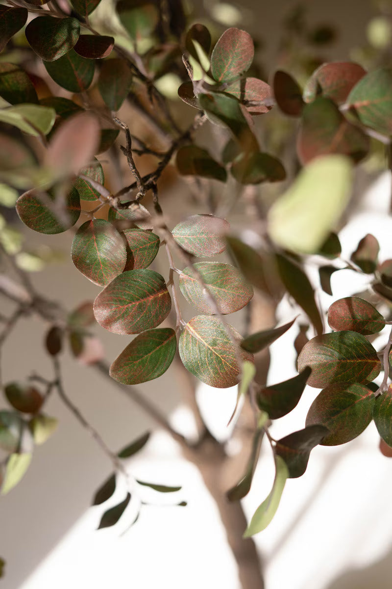 Close-up of green leaves with red veins on a blurred background