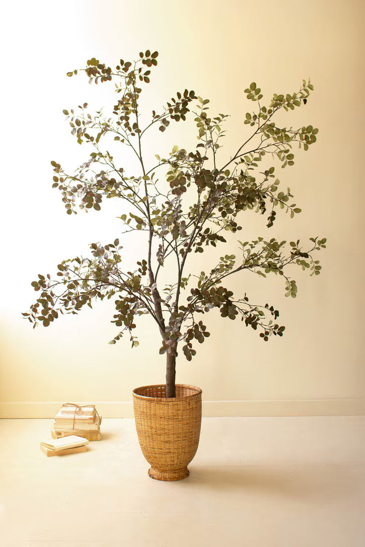 Potted plant in a wicker pot on a white surface with a beige wall background