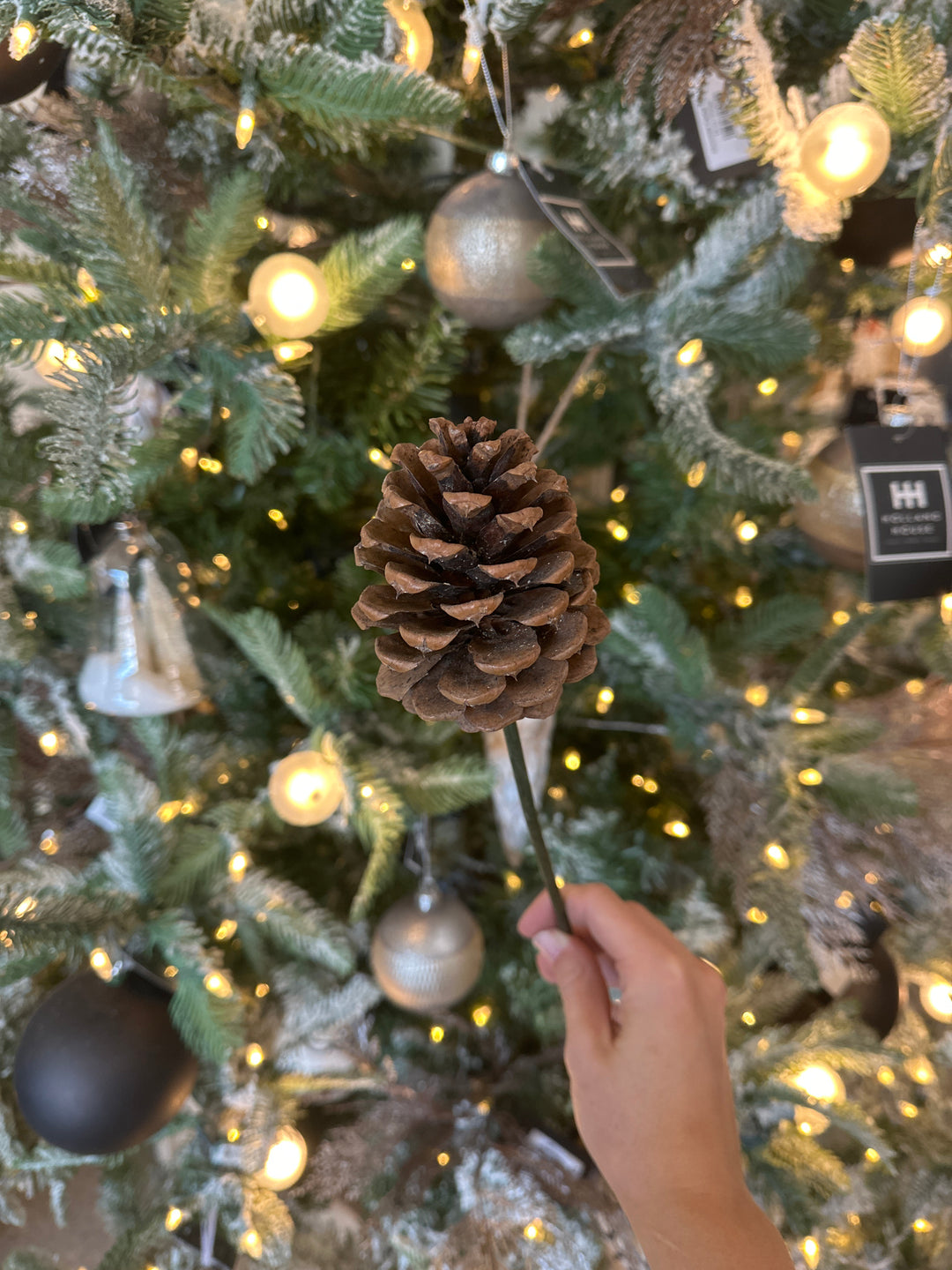 pine cone pick with green stem
