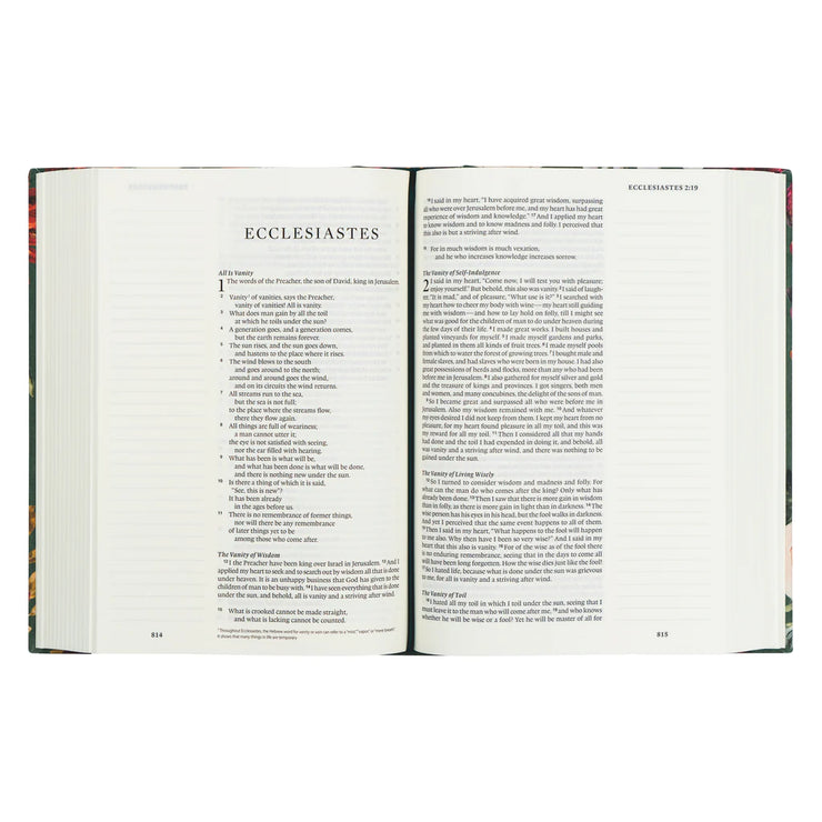 ESV Large Print Journaling Bible : Hollis Theme