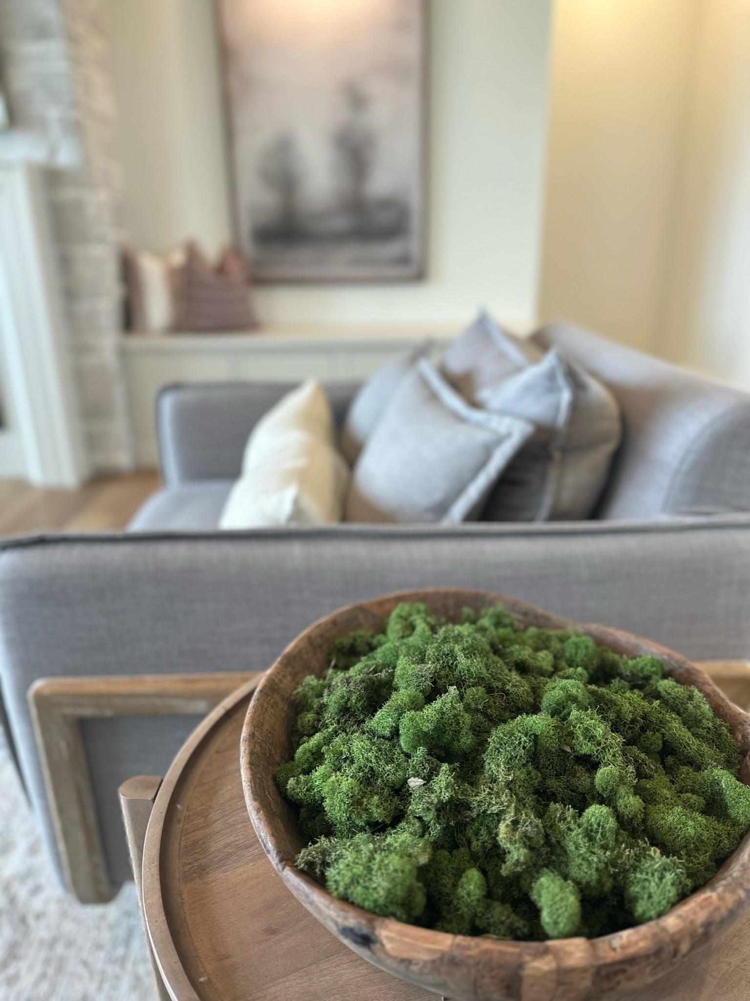 Holland House Moss Containers - Thumbnail 4