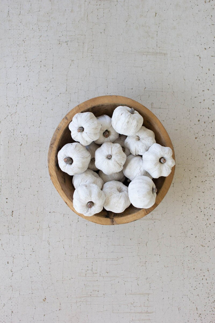 Bag of 15 Dried Miniature Faux Pumpkins- White