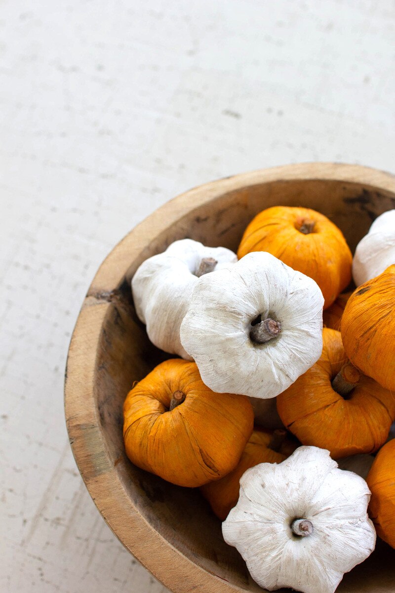 Bag of 15 Dried Miniature Faux Pumpkins- White