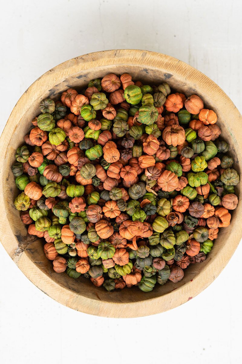 Bag of Orange and Green Putka Pods, 12 oz.