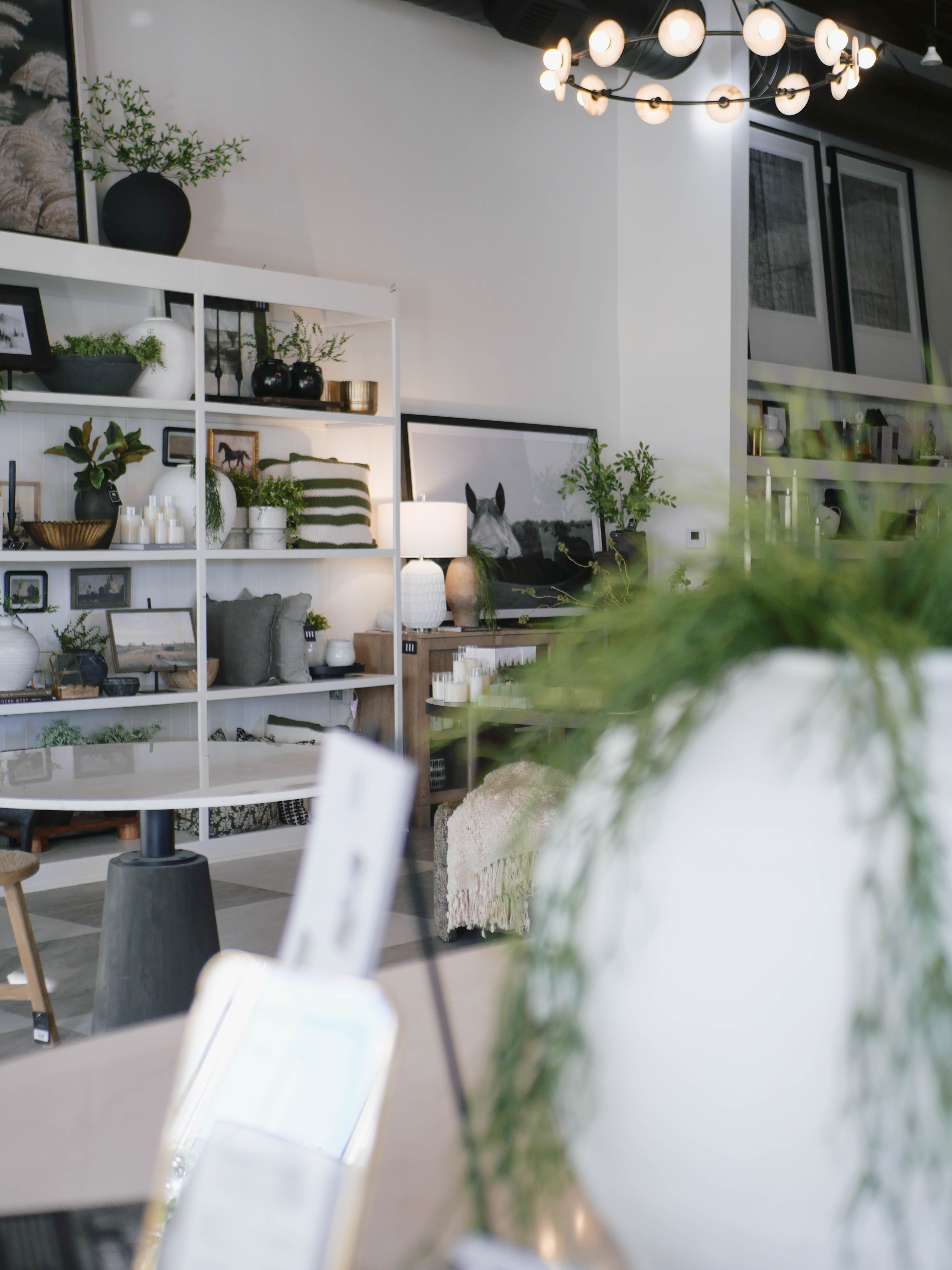About Us – Shop Holland House