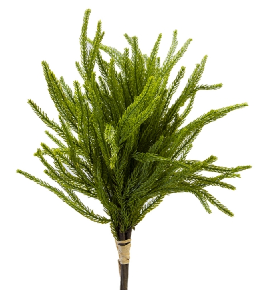 A bundle of artificial light green Norfolk  pine leaves.