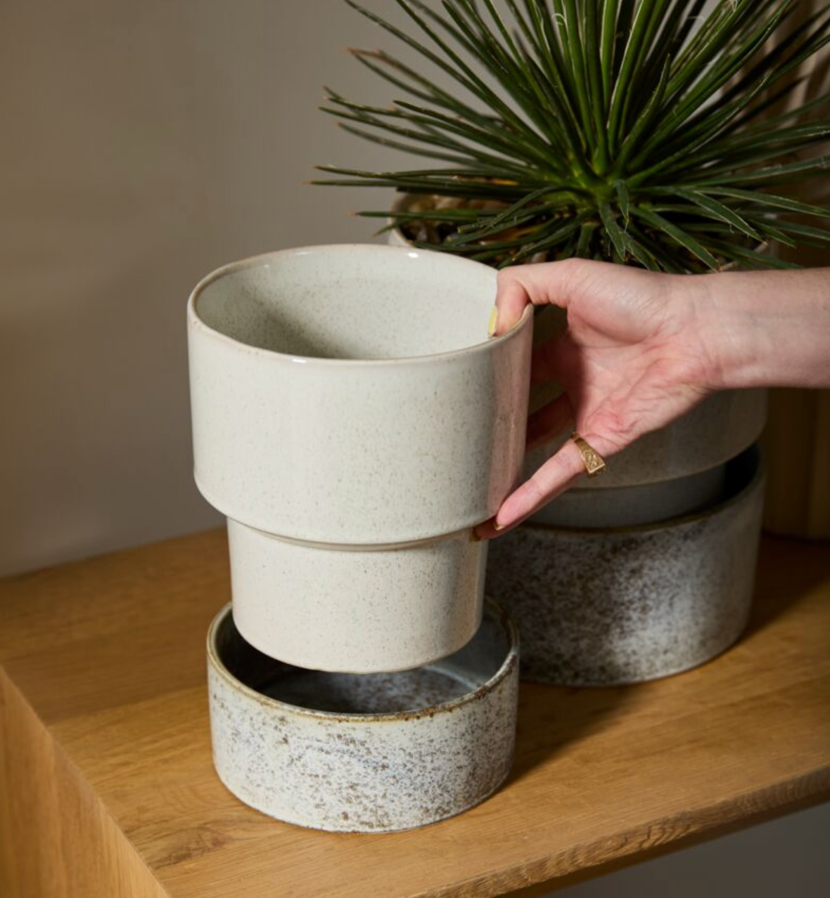 Eden Pot - Thumbnail 3