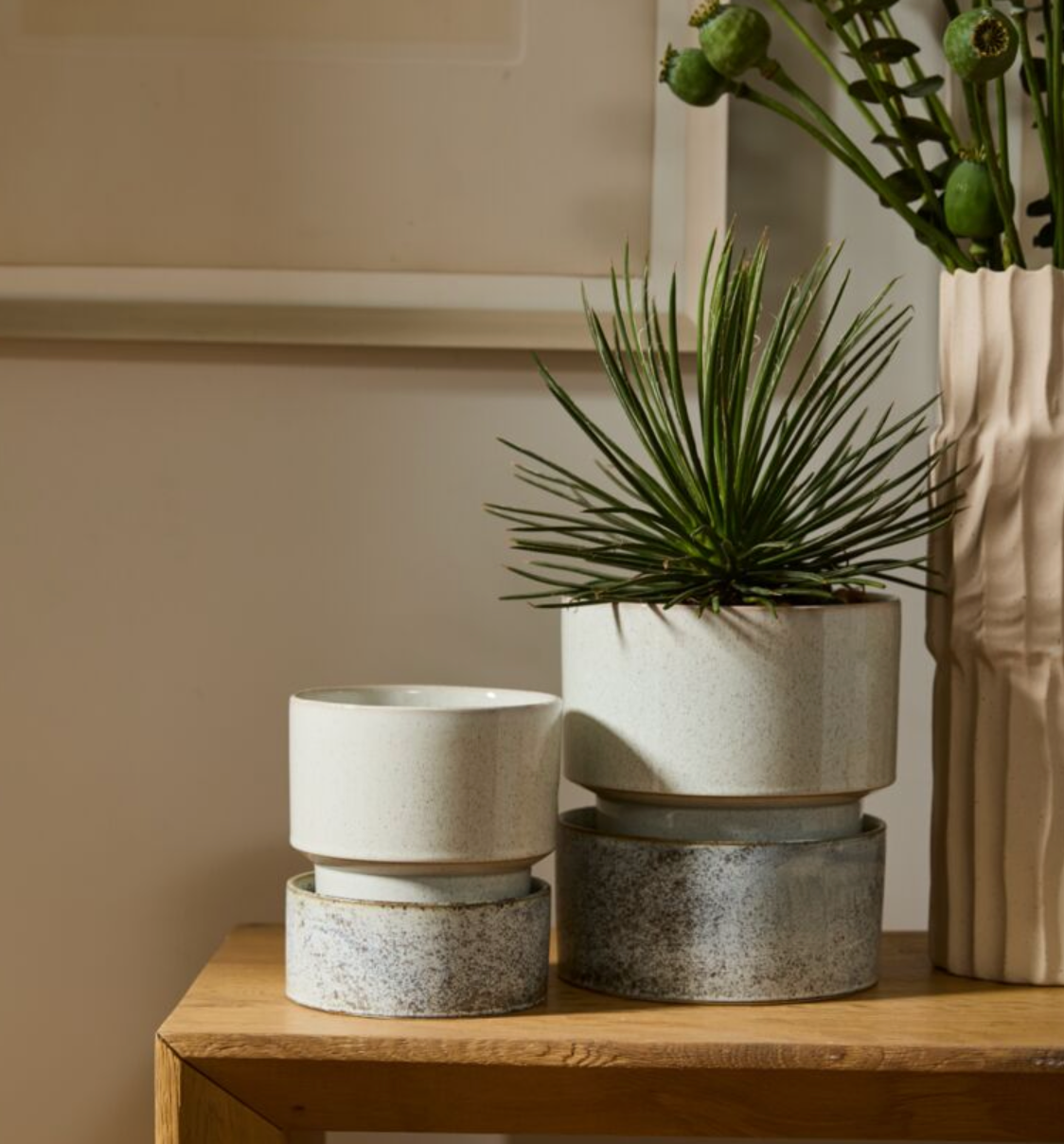 Eden Pot - Thumbnail 2