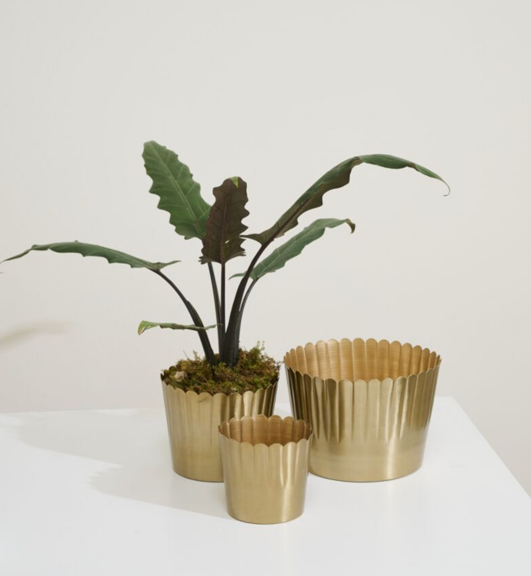 Gold Pleated Pot