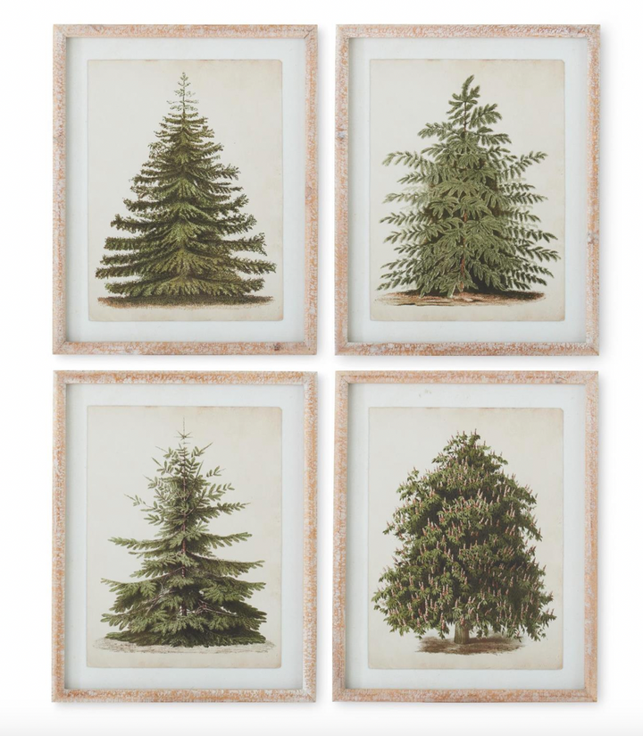 four wood framed pine tree prints, each featuring a different style and shade of green pine tree illustration, all with a natural wood frame.