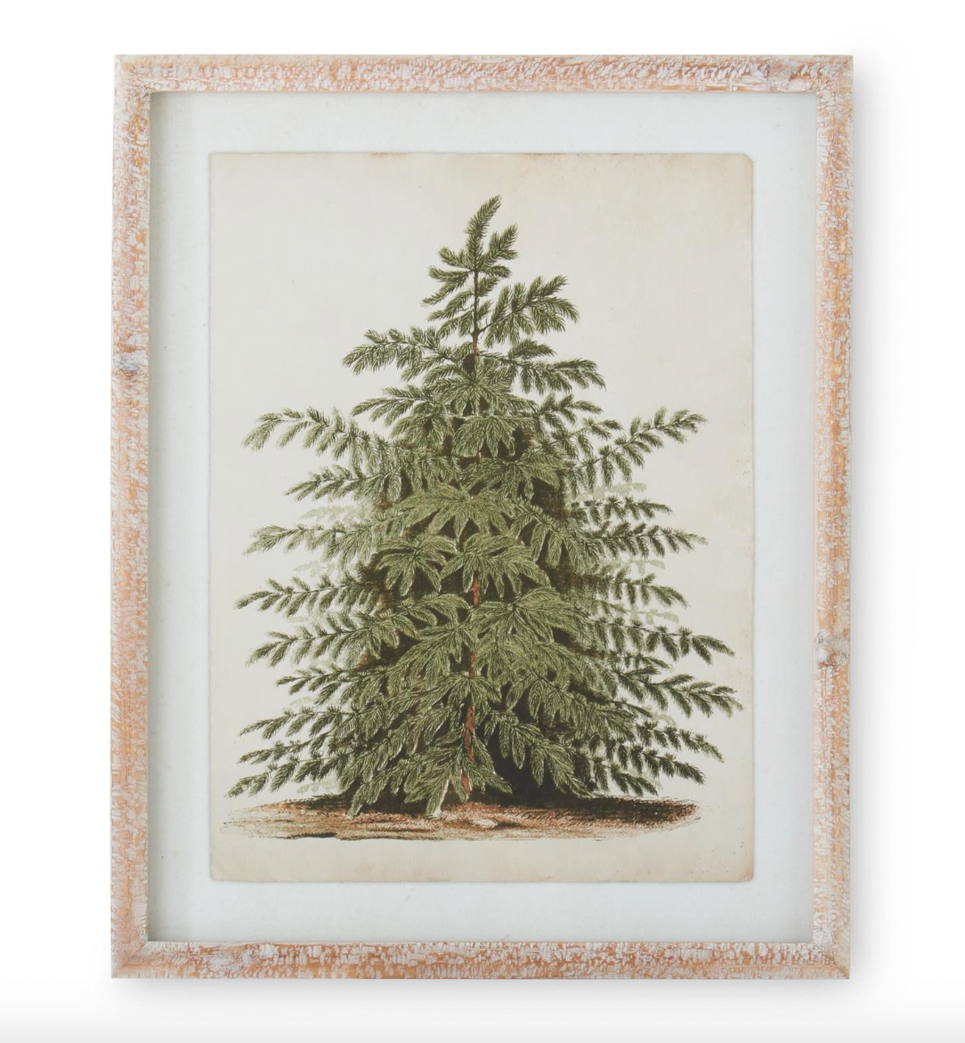Wood Framed Pine Tree Prints - Thumbnail 2