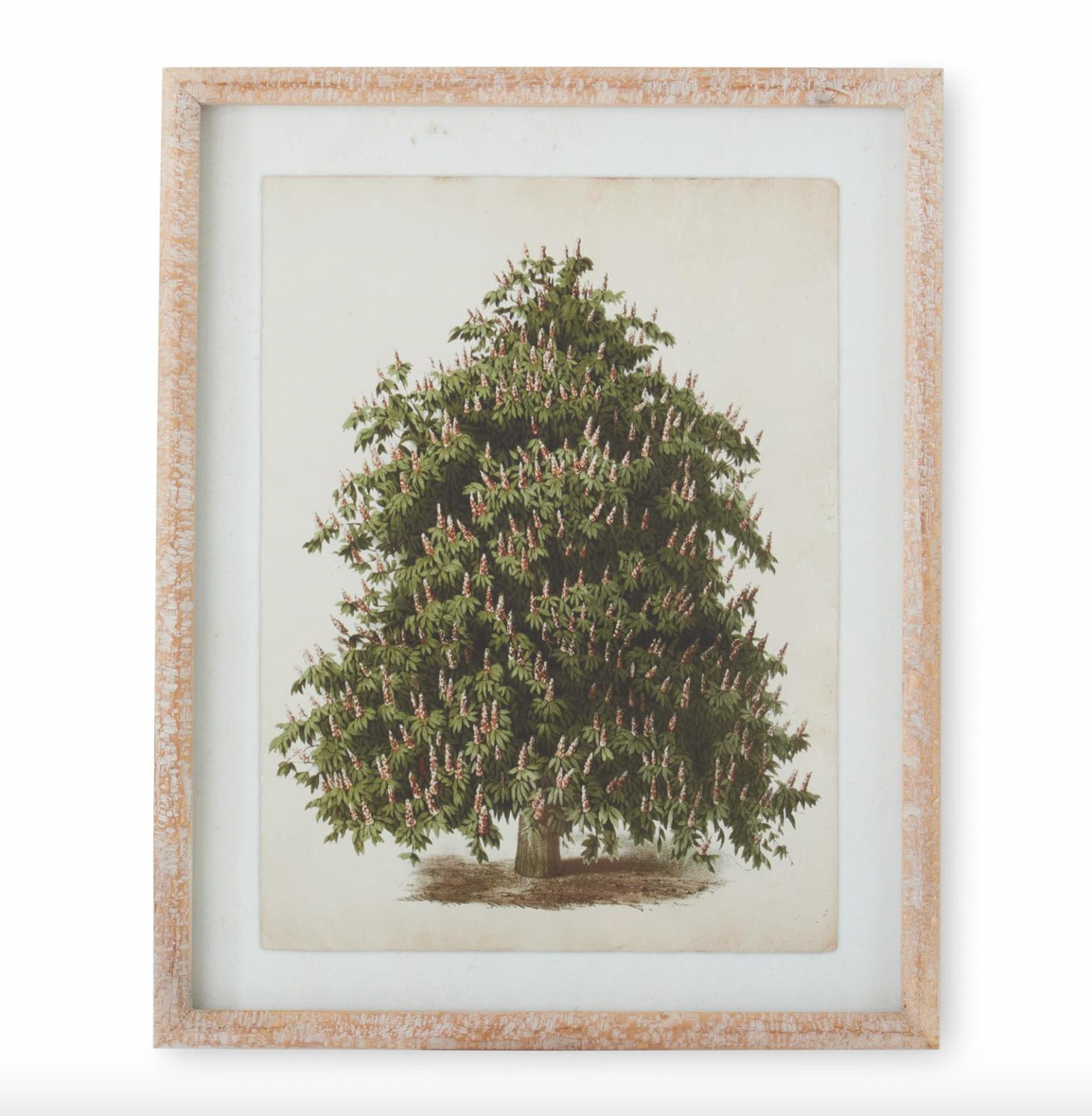 Wood Framed Pine Tree Prints - Thumbnail 5