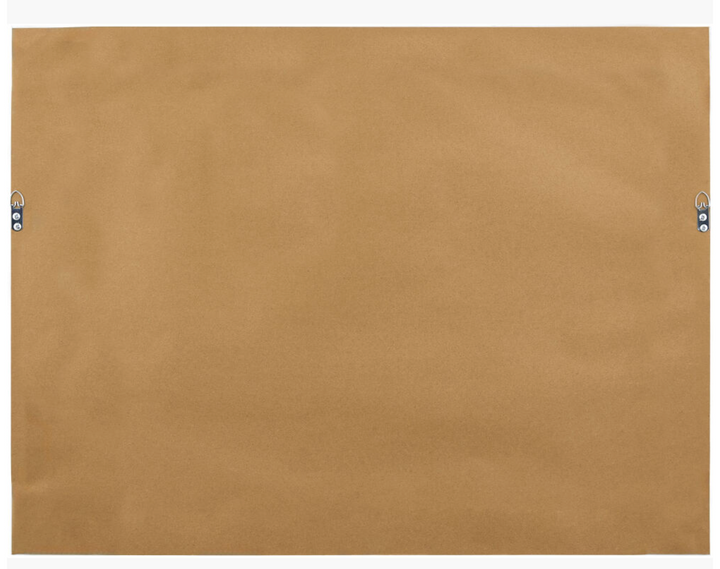 Backwoods Framed Art