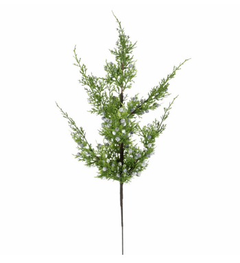Juniper Berry Spray