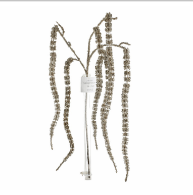 Amaranthus Spray