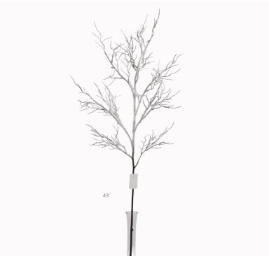Snowy Branch