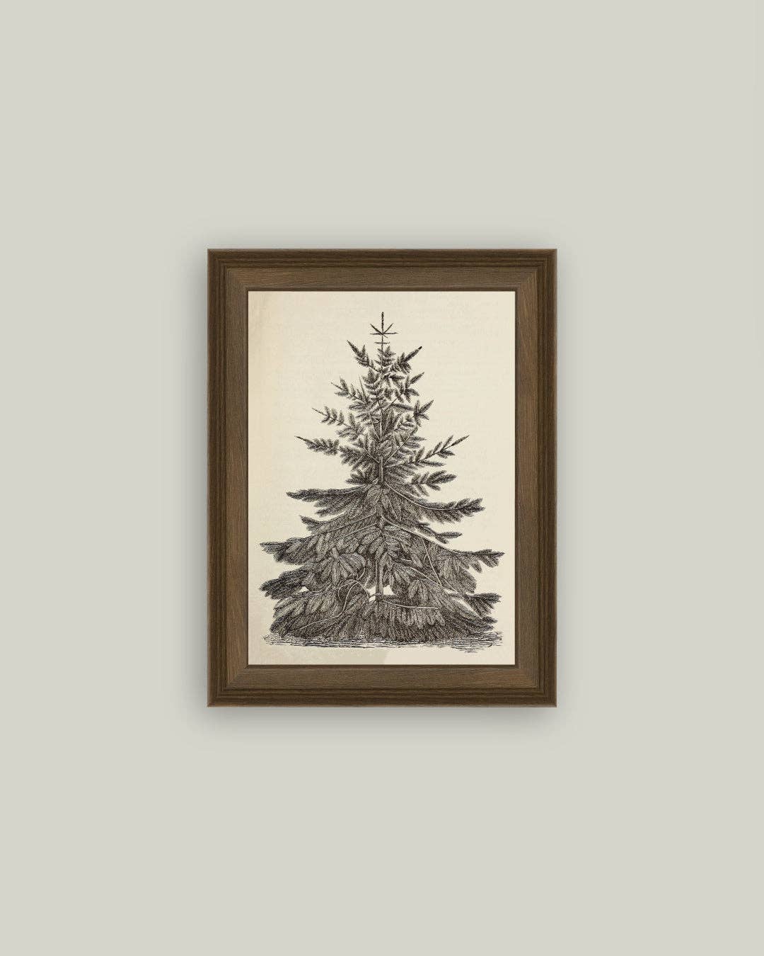 Vintage Pine Tree Framed Antique Art: 5x7