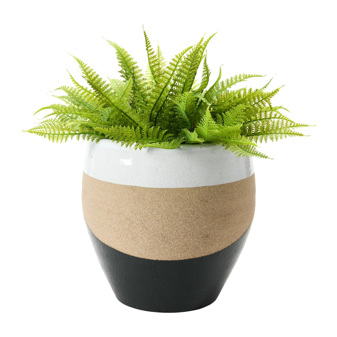 Decorative planter with a black and beige base and a white top, containing a green fern on a white background.