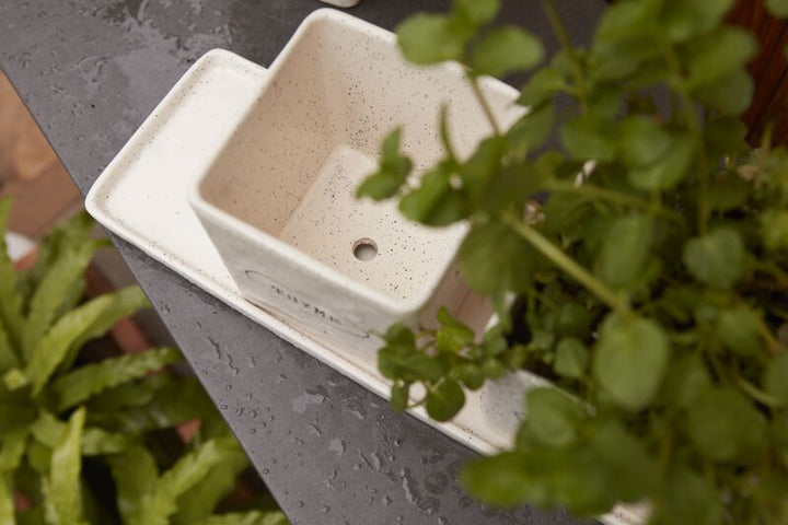 Aroma Herb Garden Pots