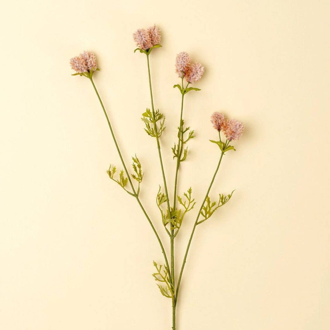 Plant with pink flowers on a beige background