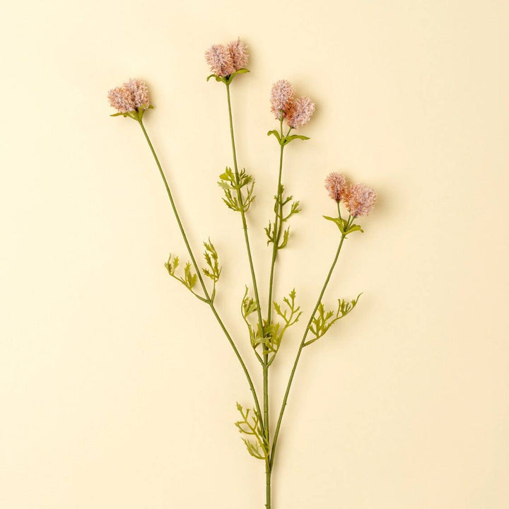 Plant with pink flowers on a beige background