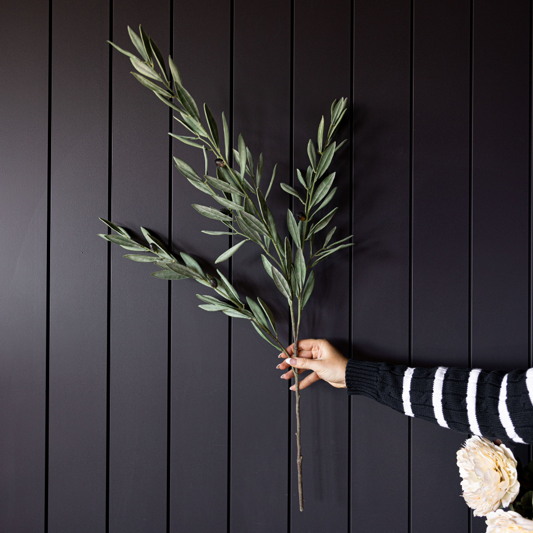 Person holding an olive branch against a black wooden panel background