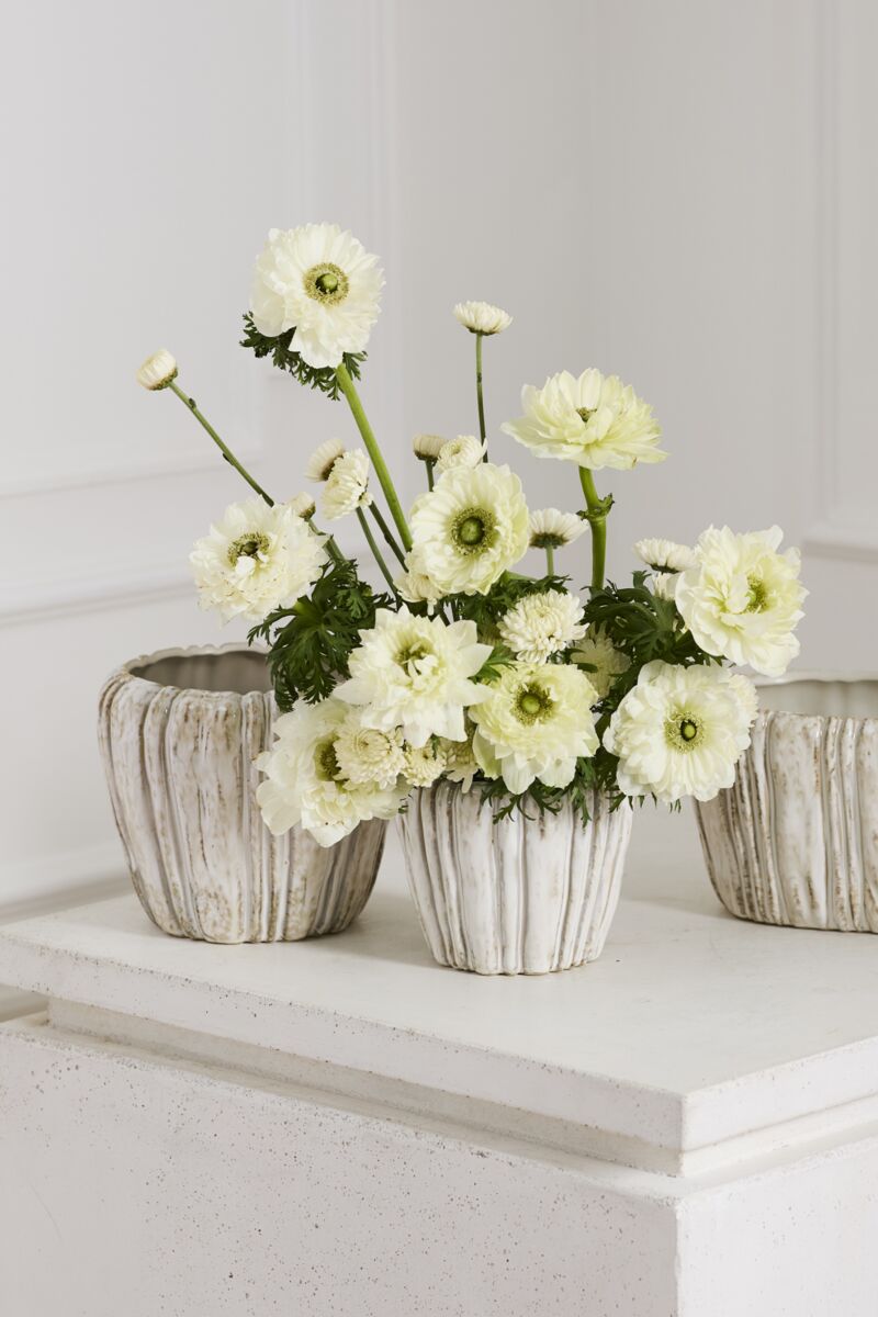 Bouquet of white flowers in a rustic pot on a white surface with a light gray background