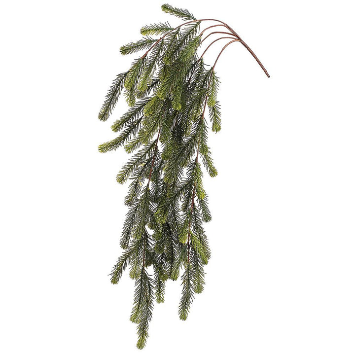 Fir Hanging Bush