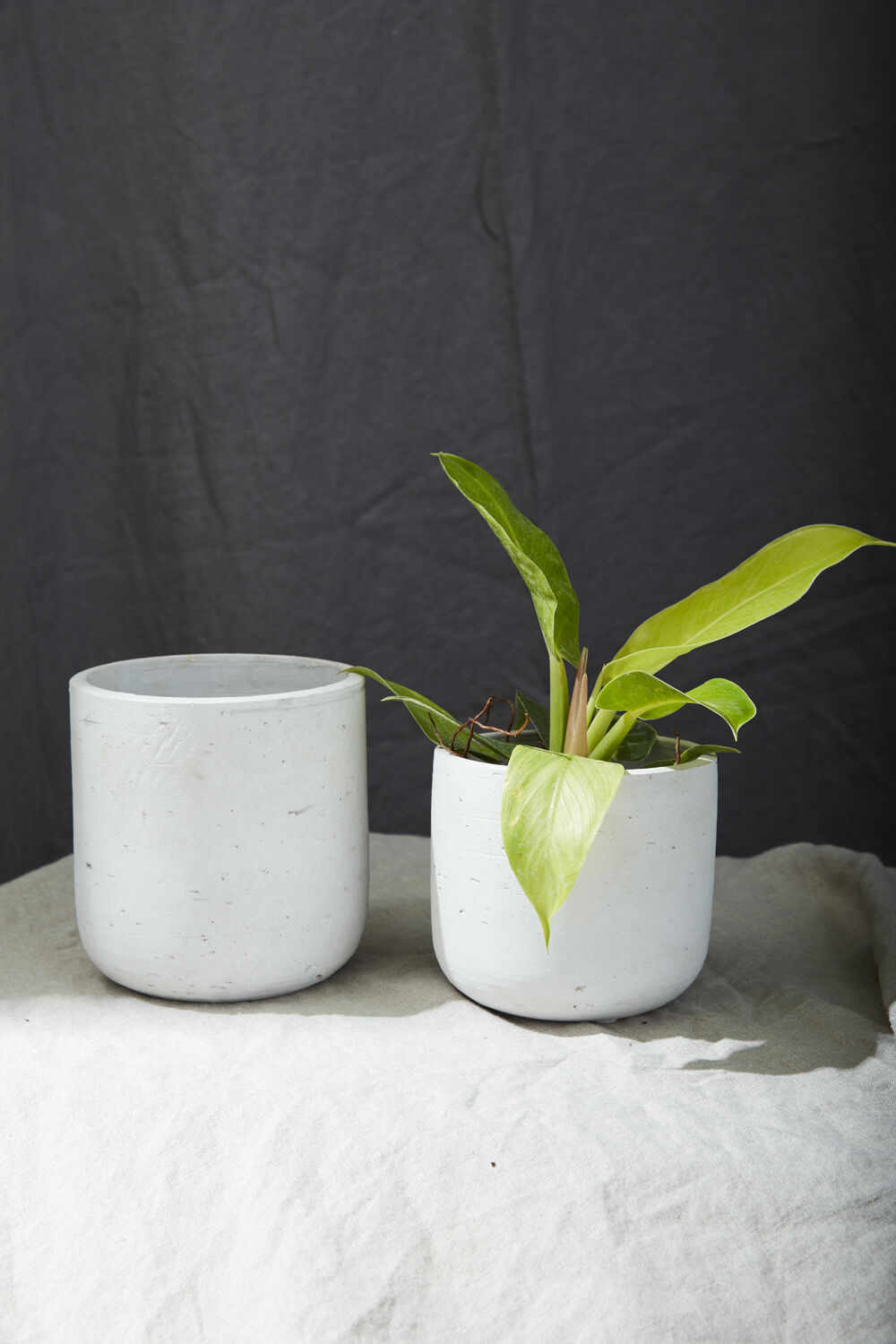 Two white ceramic pots with a plant on a textured surface against a dark background