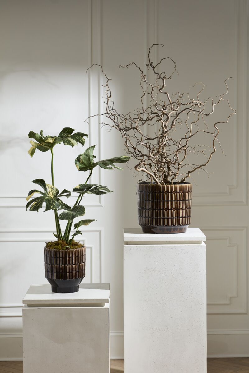 Two potted plants in brown textured pots