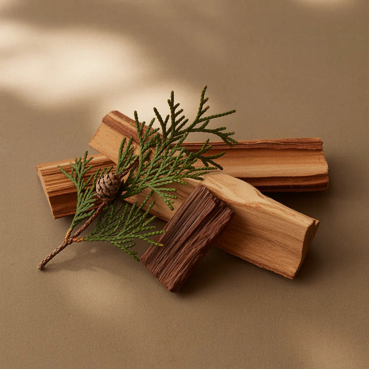 Wooden sticks with a green branch and pine cone on a brown background