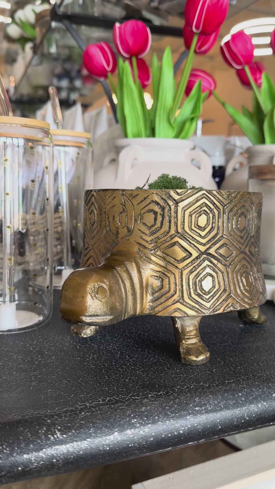 Tommie Turtle Pot