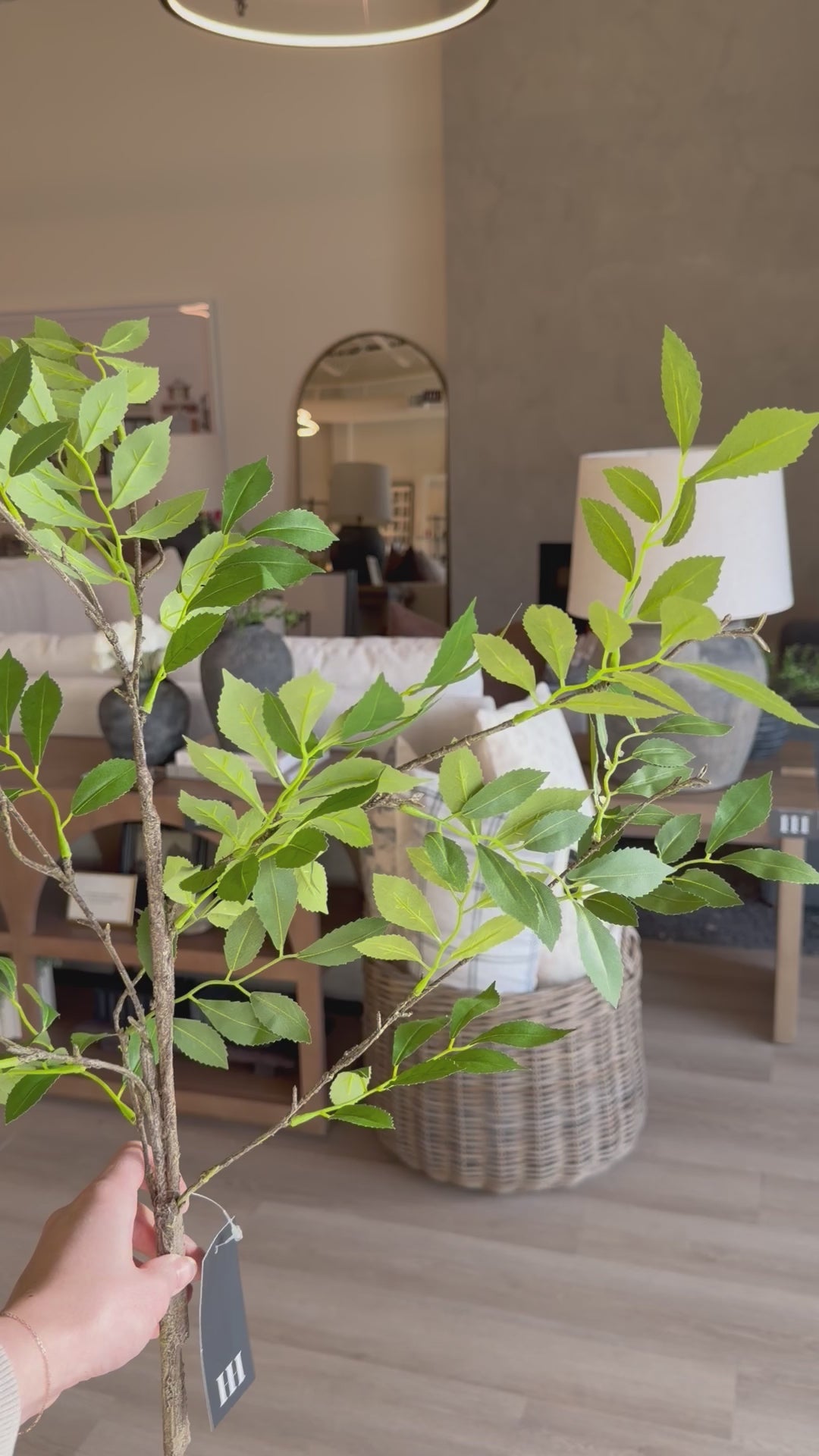 Winter Jasmine Spray