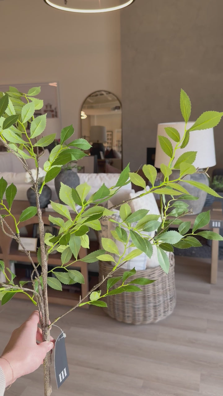 Winter Jasmine Spray