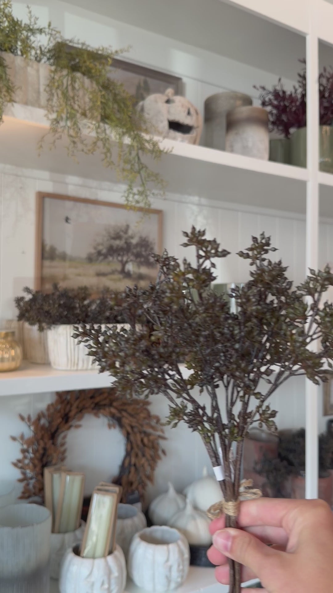 Dark Brown Sedum Bundle