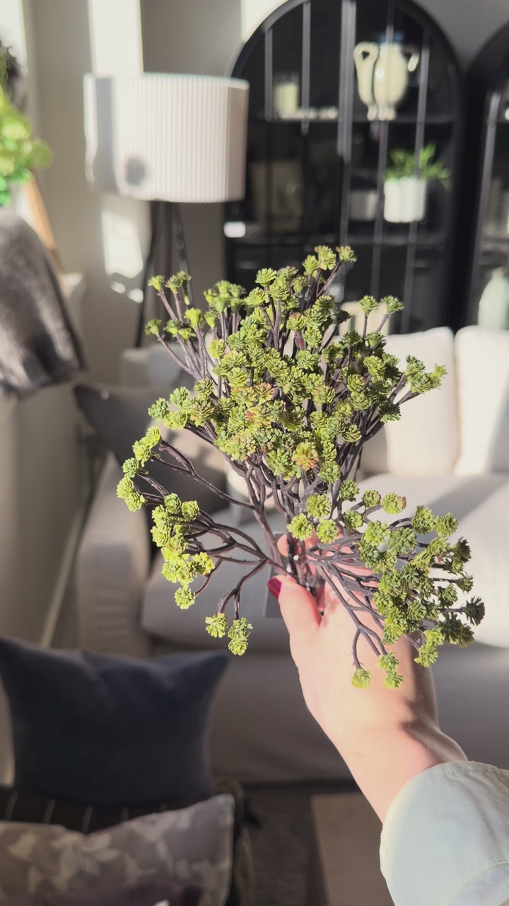 Natural Green Baby's Breath