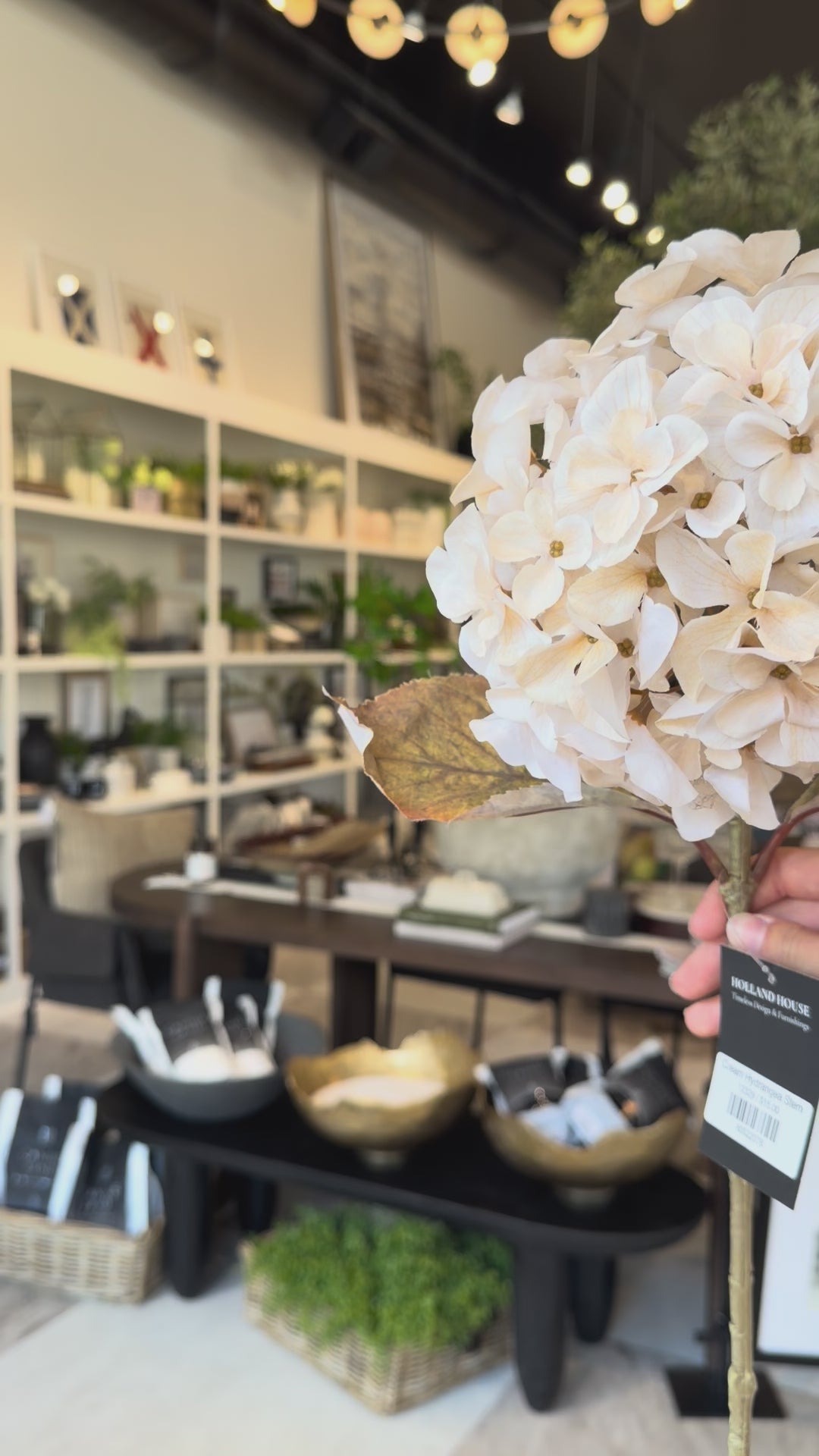 Cream Hydrangea Stem