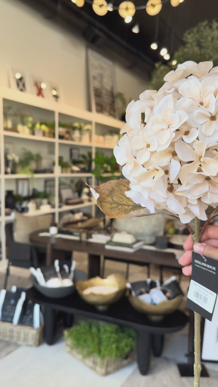Cream Hydrangea Stem