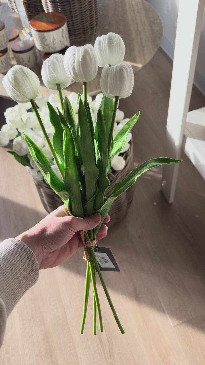 Soft White Tulip Stems