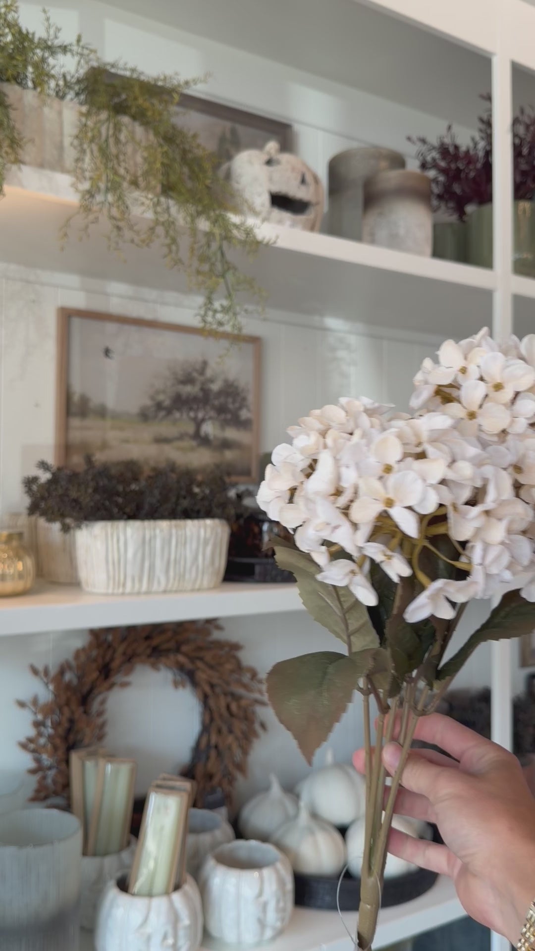 HYDRANGEA BUSH