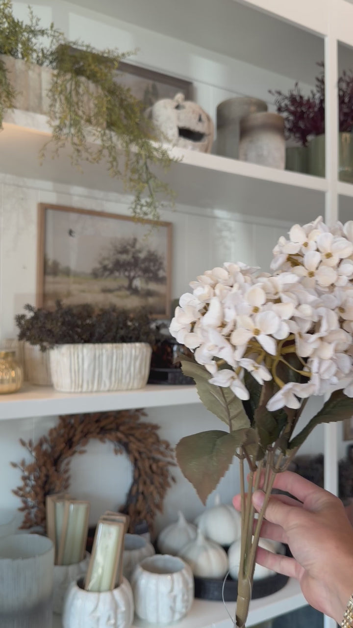 HYDRANGEA BUSH