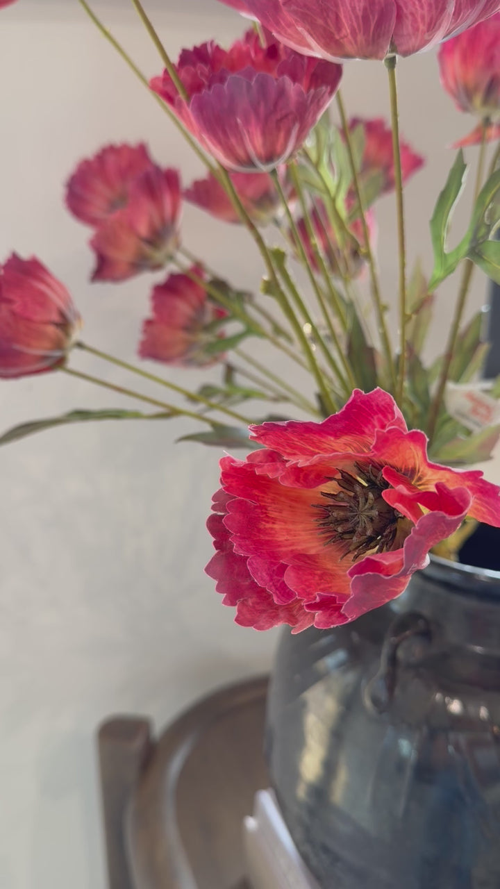 Field Poppy Stem