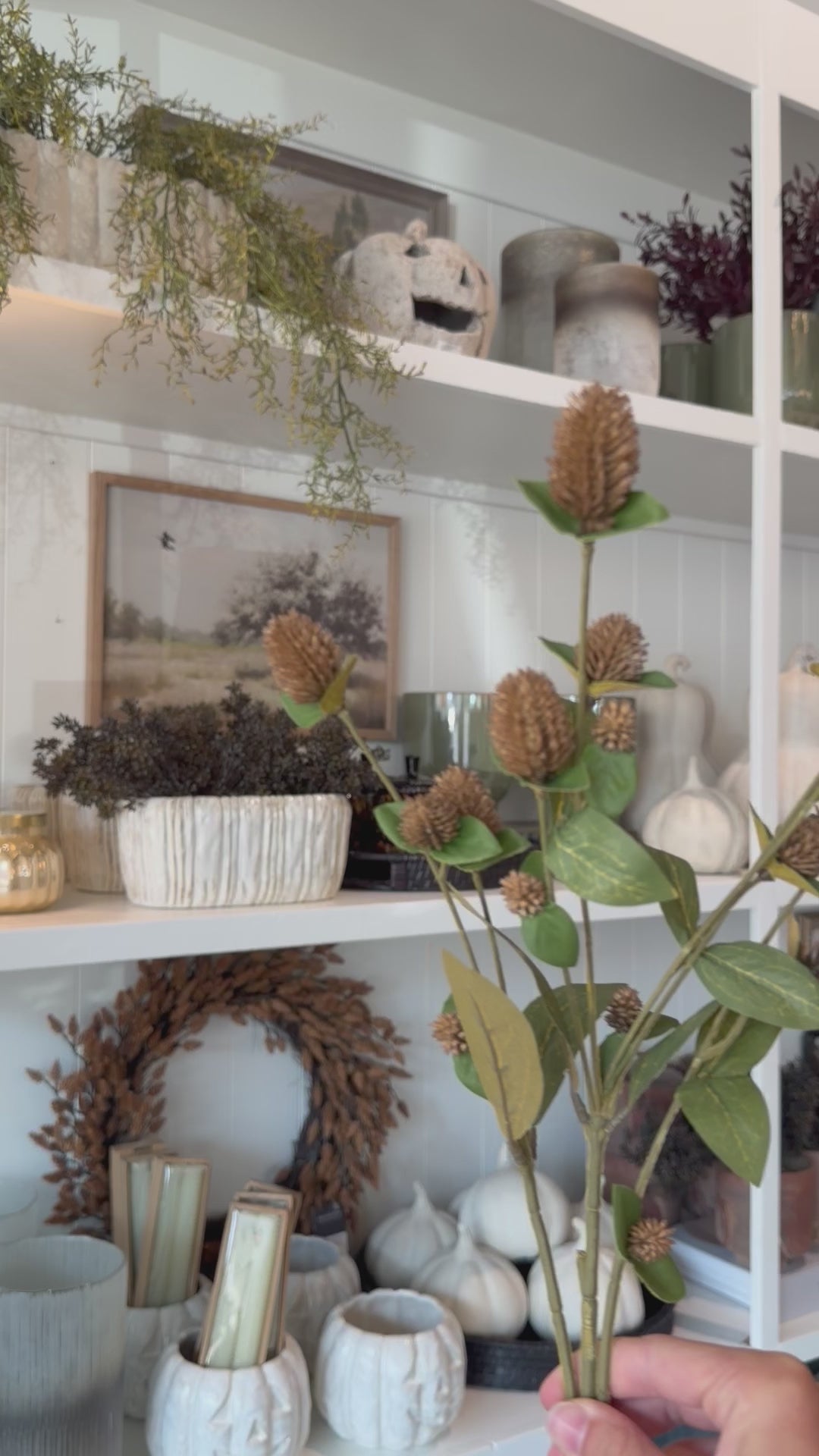 Globe Amaranth Spray