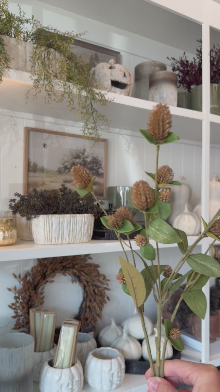 Globe Amaranth Spray