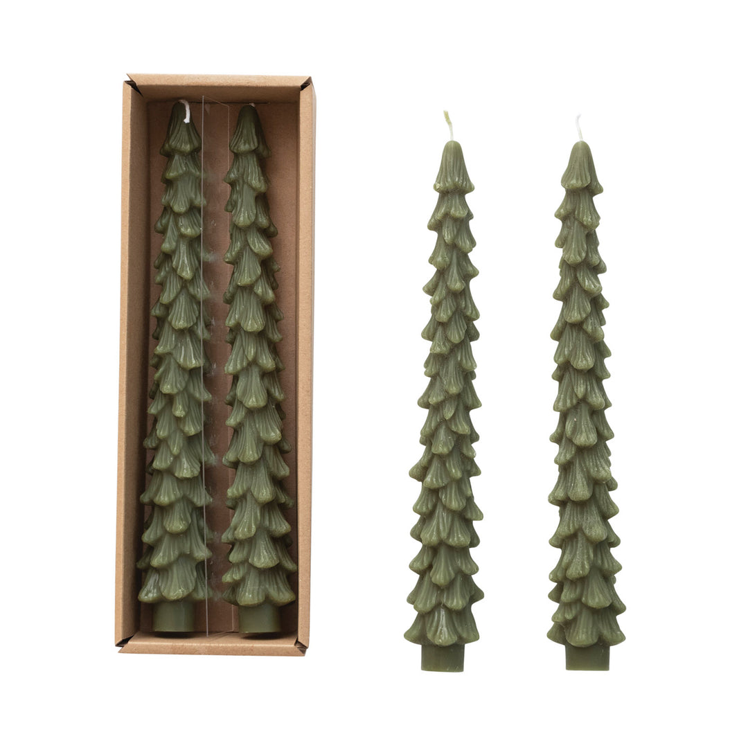 Evergreen Large Tree Taper