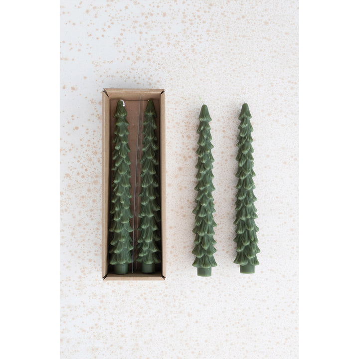 Evergreen Large Tree Taper