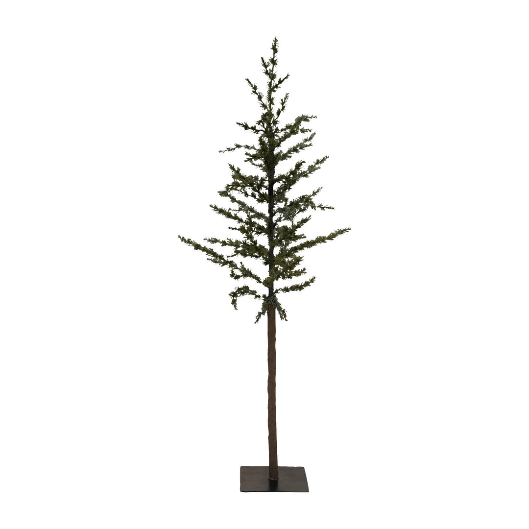 large pine tree with metal base