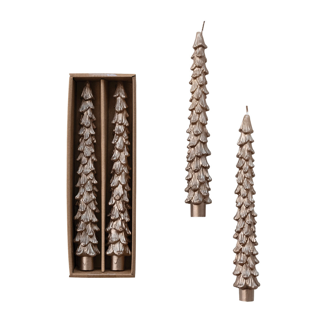 Champagne Large Tree Taper