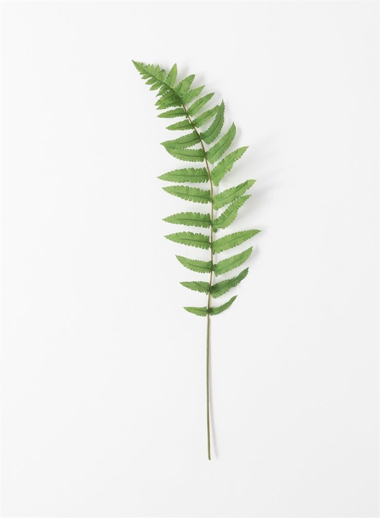 Fern Spray