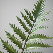 POTTED FERN